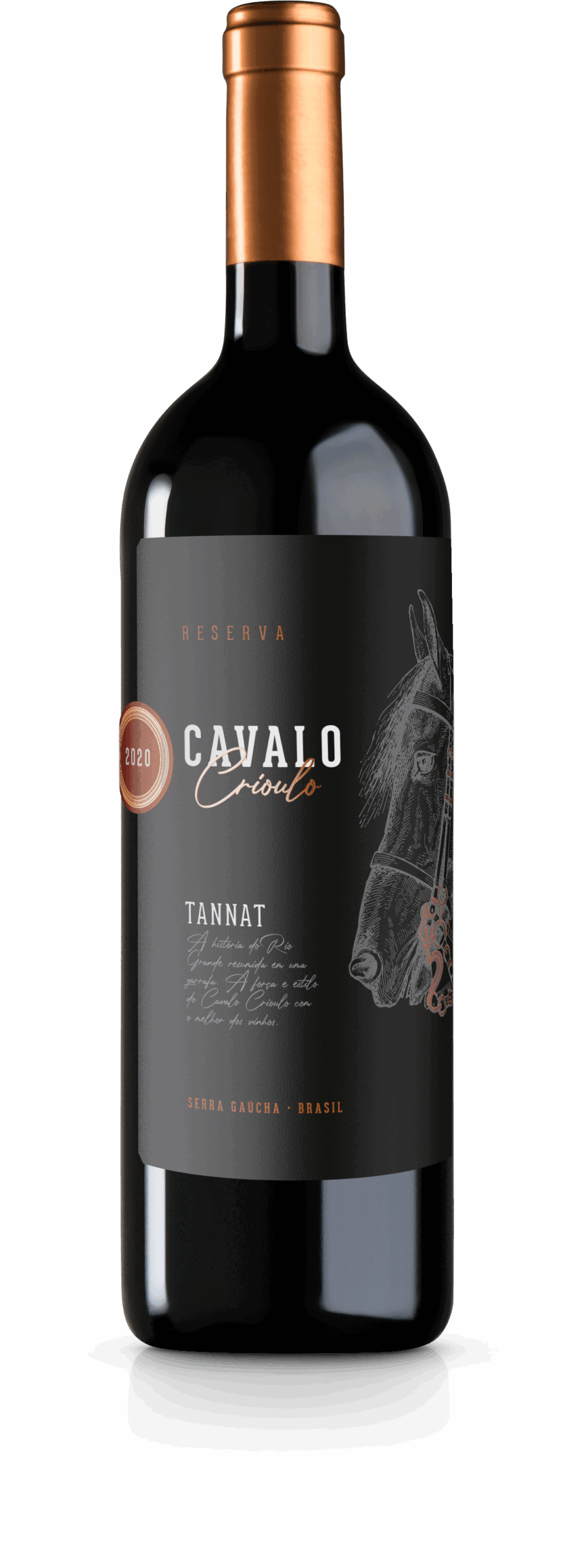 Vinho Tinto Tannat